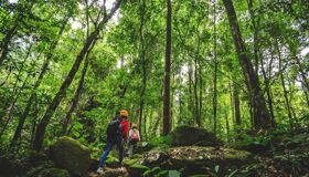 Nam Kat Yorla Jungle, Laos